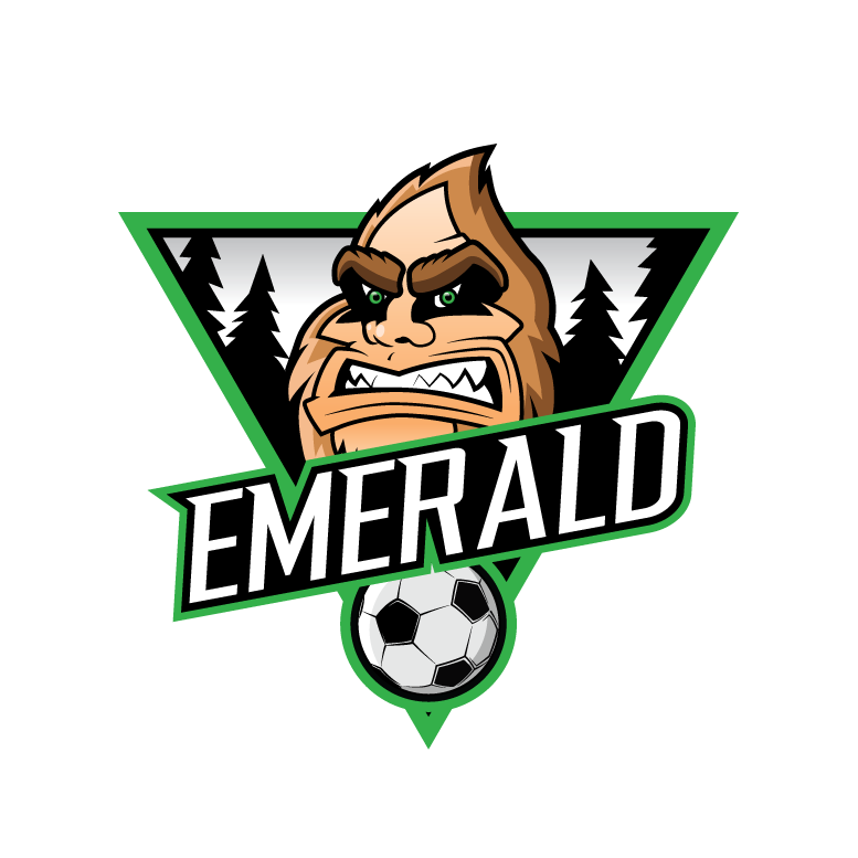 soccer-logo-design-eureka-california-humboldt-county-ca-logo-designer